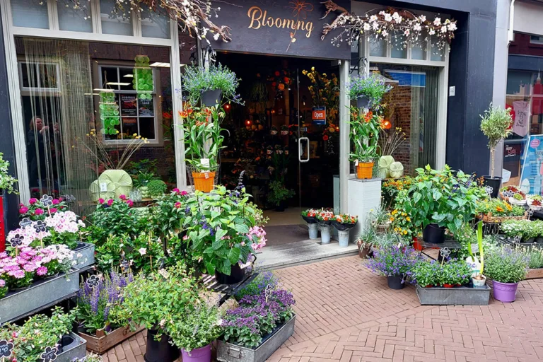 Blooming