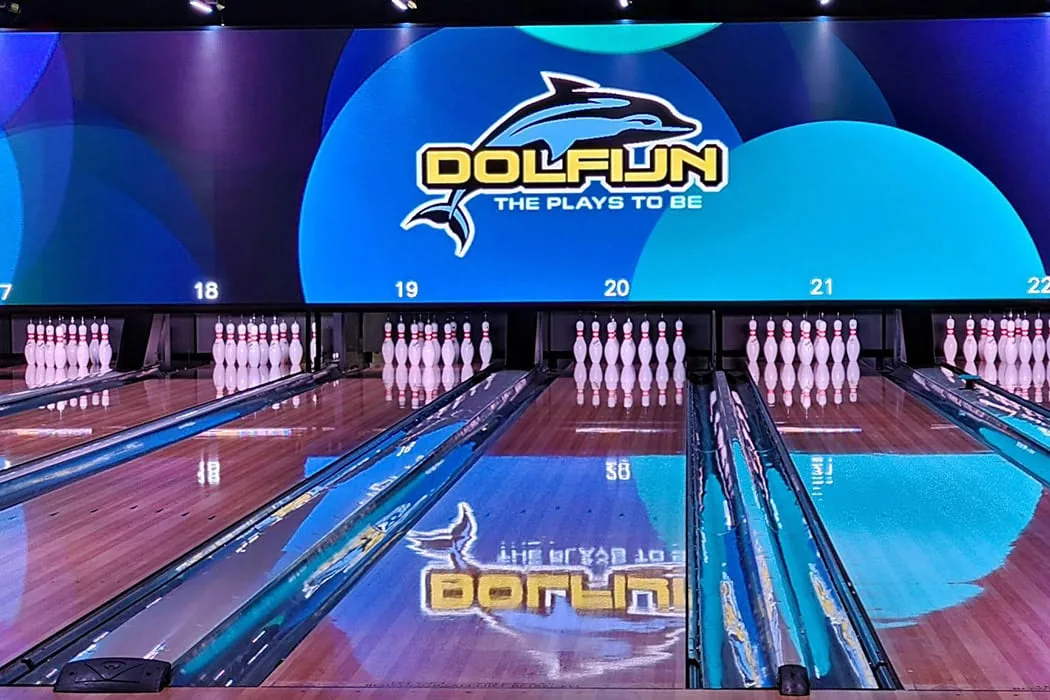 Dolfijn -the plays to be-