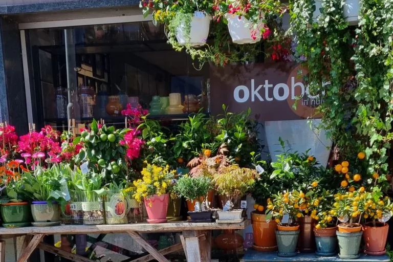 Oktober in Huis