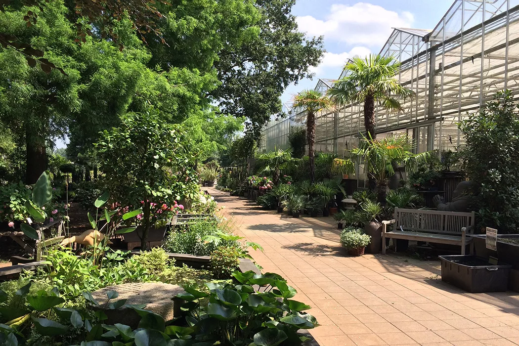 Tuincentrum Soontiens